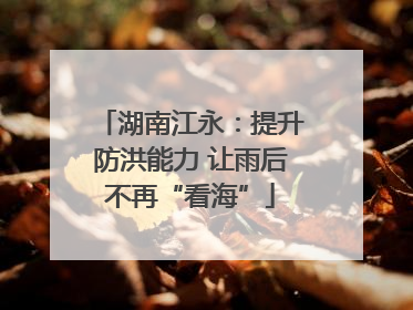 湖南江永：提升防洪能力 让雨后不再“看海”