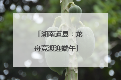 湖南道县：龙舟竞渡迎端午