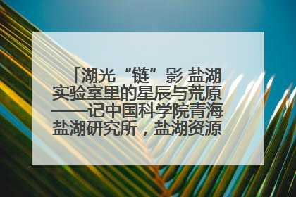 湖光“链”影 盐湖实验室里的星辰与荒原——记中国科学院青海盐湖研究所，盐湖资源化学实验室党总支书记、副主任刘忠