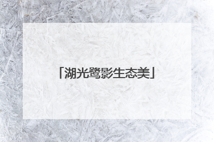 湖光鹭影生态美