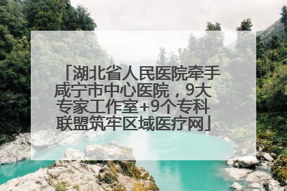 湖北省人民医院牵手咸宁市中心医院，9大专家工作室+9个专科联盟筑牢区域医疗网