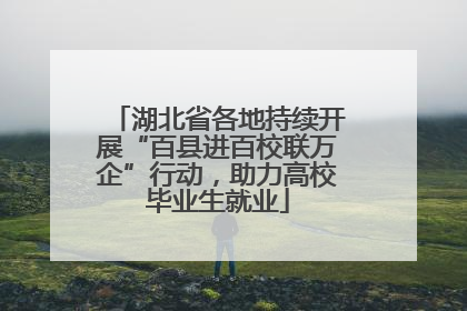 湖北省各地持续开展“百县进百校联万企”行动，助力高校毕业生就业