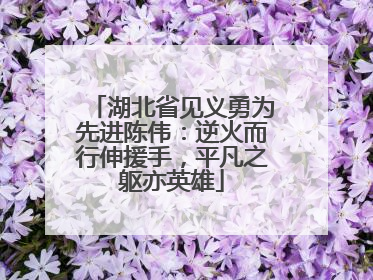 湖北省见义勇为先进陈伟：逆火而行伸援手，平凡之躯亦英雄