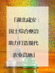 湖北咸安：国土综合整治助力打造现代农业高地