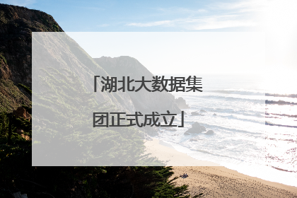 湖北大数据集团正式成立