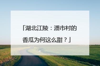 湖北江陵：潘市村的香瓜为何这么甜？