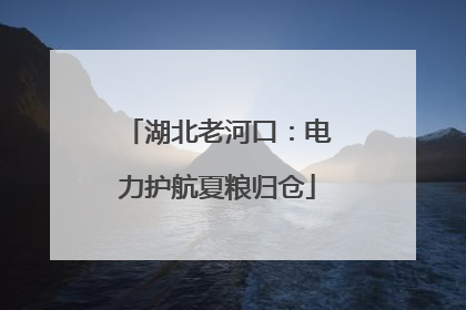 湖北老河口：电力护航夏粮归仓