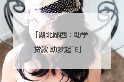 湖北郧西：助学贷款 助梦起飞