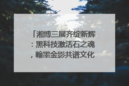 湘博三展齐绽新辉：黑科技激活石之魂，翰墨金影共谱文化遗产日华章