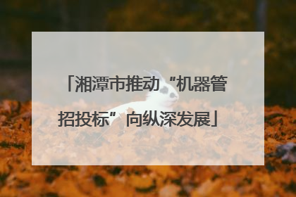 湘潭市推动“机器管招投标”向纵深发展