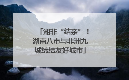 湘非“结亲”！湖南八市与非洲九城缔结友好城市