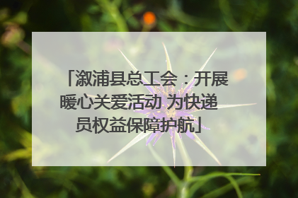 溆浦县总工会：开展暖心关爱活动 为快递员权益保障护航