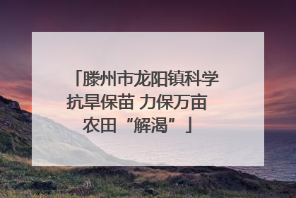 滕州市龙阳镇科学抗旱保苗 力保万亩农田“解渴”