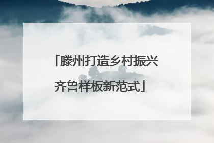 滕州打造乡村振兴齐鲁样板新范式