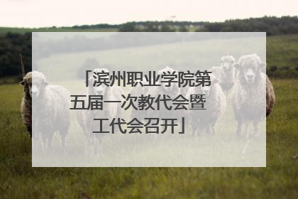 滨州职业学院第五届一次教代会暨工代会召开