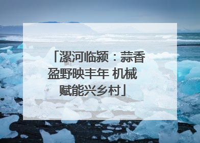漯河临颍：蒜香盈野映丰年 机械赋能兴乡村