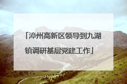 漳州高新区领导到九湖镇调研基层党建工作