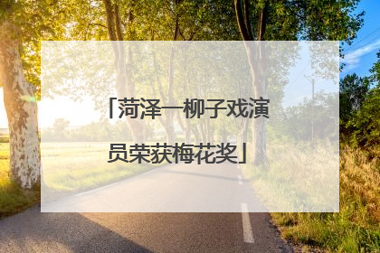 菏泽一柳子戏演员荣获梅花奖