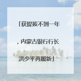 获提拔不到一年，内蒙古银行行长洪少平再履新