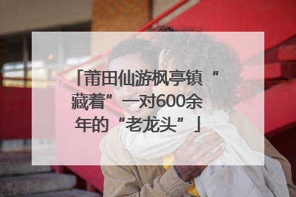莆田仙游枫亭镇“藏着”一对600余年的“老龙头”