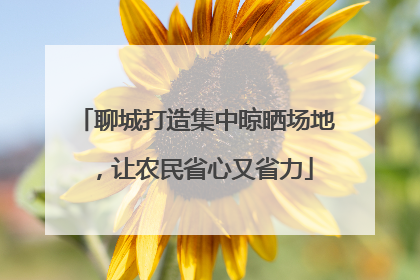 聊城打造集中晾晒场地，让农民省心又省力