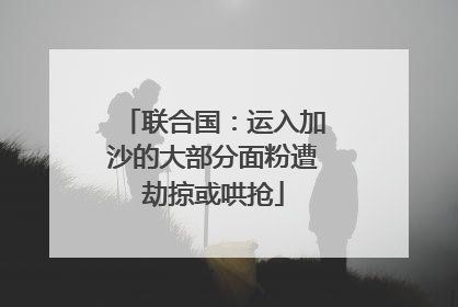 联合国：运入加沙的大部分面粉遭劫掠或哄抢