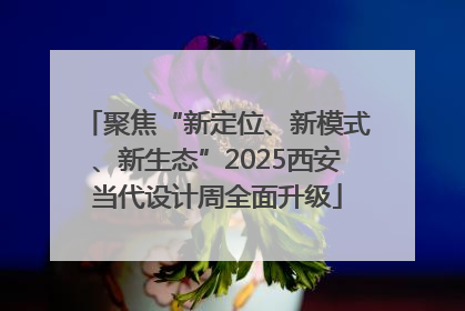 聚焦“新定位、新模式、新生态”2025西安当代设计周全面升级