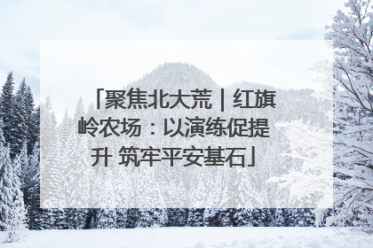 聚焦北大荒｜红旗岭农场：以演练促提升 筑牢平安基石