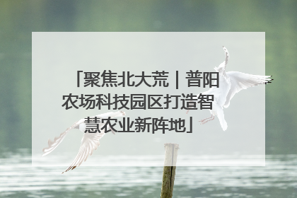 聚焦北大荒｜普阳农场科技园区打造智慧农业新阵地