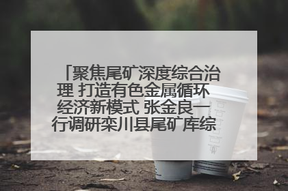 聚焦尾矿深度综合治理 打造有色金属循环经济新模式 张金良一行调研栾川县尾矿库综合治理工作