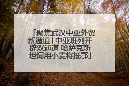 聚焦武汉中亚外贸新通道│中亚班列开辟双通道 哈萨克斯坦饲用小麦将抵鄂