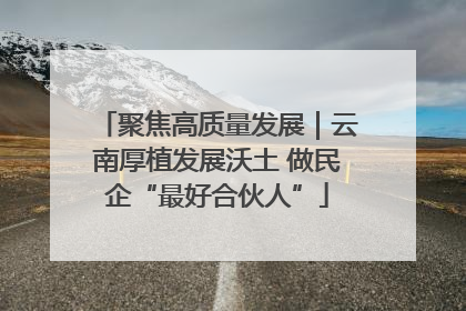 聚焦高质量发展｜云南厚植发展沃土 做民企“最好合伙人”
