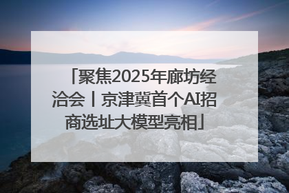 聚焦2025年廊坊经洽会丨京津冀首个AI招商选址大模型亮相