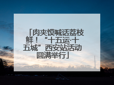 肉夹馍喊话荔枝鲜！“十五运·十五城”西安站活动圆满举行