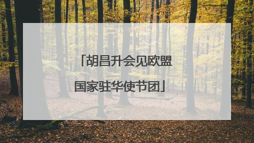 胡昌升会见欧盟国家驻华使节团