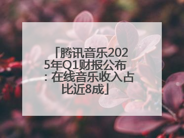 腾讯音乐2025年Q1财报公布：在线音乐收入占比近8成