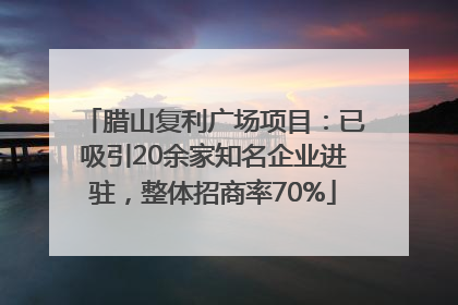 腊山复利广场项目：已吸引20余家知名企业进驻，整体招商率70%