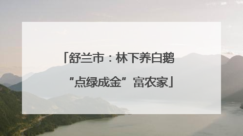 舒兰市：林下养白鹅 “点绿成金”富农家