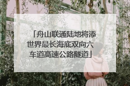 舟山联通陆地将添世界最长海底双向六车道高速公路隧道