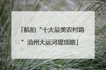 航拍“十大最美农村路”沧州大运河堤顶路