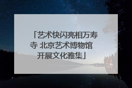 艺术快闪亮相万寿寺 北京艺术博物馆开展文化雅集