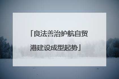 良法善治护航自贸港建设成型起势