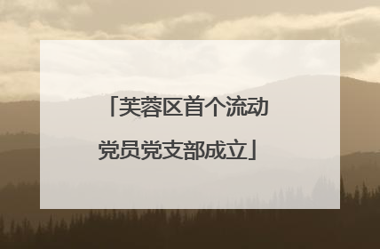 芙蓉区首个流动党员党支部成立