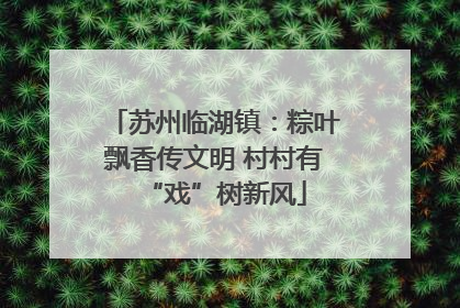 苏州临湖镇：粽叶飘香传文明 村村有“戏”树新风
