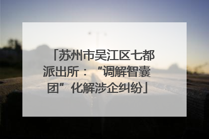 苏州市吴江区七都派出所：“调解智囊团”化解涉企纠纷