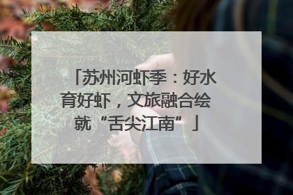 苏州河虾季：好水育好虾，文旅融合绘就“舌尖江南”