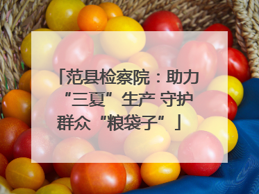 范县检察院：助力“三夏”生产 守护群众“粮袋子”