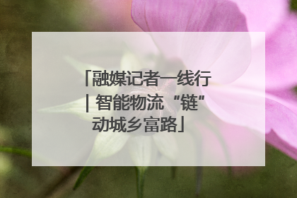 融媒记者一线行｜智能物流“链”动城乡富路