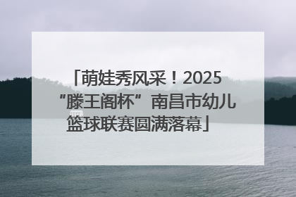 萌娃秀风采！2025“滕王阁杯”南昌市幼儿篮球联赛圆满落幕