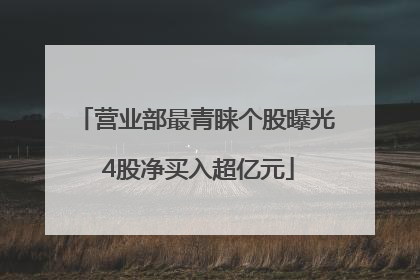 营业部最青睐个股曝光 4股净买入超亿元